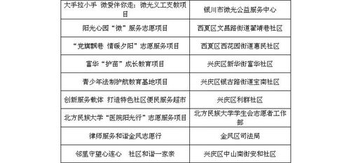 銀川市志愿服務(wù)項目評審會圓滿結(jié)束，項目策劃與公關(guān)服務(wù)彰顯專業(yè)水平